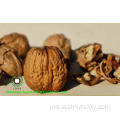 Walnut Kernel Light Amber Quarters (LAQ) dari Yunnan